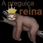calma mimosa