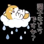 飛びだす！お返事シバイヌくん（雨の日）