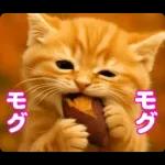秋のネコたちにゃんだふる♡
