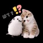 仲良し♡シマエナガと子猫ちゃん