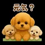 毎日使える【挨拶★返事】トイプードル