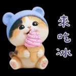 可愛小花貓超能幹的啦❤