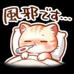 毎日♡猫ちゃんず【連絡・今何してる？】