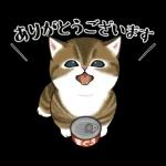 あけおめにゃん午