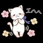 毎日使える♡大人可愛いガーリーキャット2