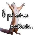 Boa • Noite