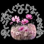 大人の挨拶♡秋の毎日♡品よくおしゃれに