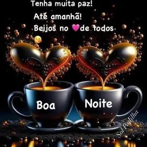 Tenha muita paz! Até amanhã! Beijos no de todos Boa Noite Sol Padilha - getsticker.com