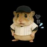 【新】リアル野球ハムスター