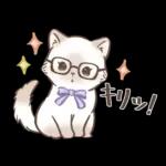 毎日使える♡大人可愛いガーリーキャット2