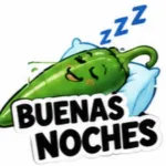 ZZZ BUENAS NOCHES