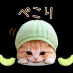 ずっと使える メロン帽が可愛い 猫とウサギ