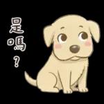 平平安安才是福🧧