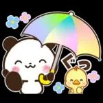 パンダ＆ひよこ 梅雨・夏