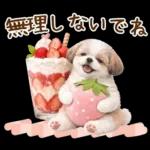 気持ち伝わる癒やしシーズー