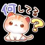 毎日♡猫ちゃんず【連絡・今何してる？】