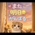 飛び出す♡やる気ないにゃんこ