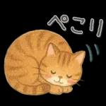 猫がいっぱい♡ふんわり可愛い秋＆冬