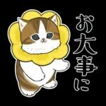 おめかしにゃん