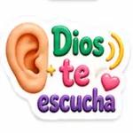 Toca para verlos