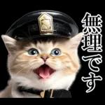 リアル猫警察官