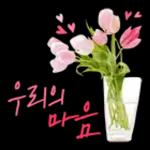 꽃으로 전하는 마음, 감사톡