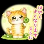 猫まみれのやさしい日常【春】