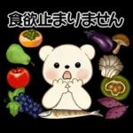 癒しを運ぶくまさん ♡ ほっこり秋