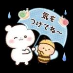 チロクマとアイビー　初夏