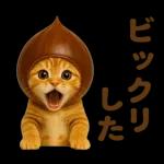 秋のネコたちにゃんだふる♡