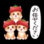 毎日使える 茶トラねこ 春 日常 いちご帽子