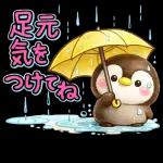 ぺんちゃんと梅雨じかん