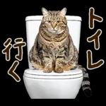 うんこ★リアルな猫