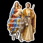 sagrada família rogai por nós