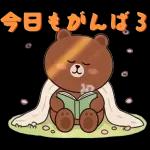 ぽかぽかくまさんの春