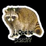 Stickers para añadir color a tus conversaciones