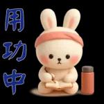 可愛白兔-實用短語