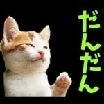 島根出雲弁☆にゃんこ