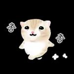 작아요 고먕이