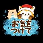 雪とぽんぽこたぬき❄️