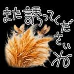 大人の挨拶♡秋の毎日♡品よくおしゃれに