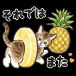 夏の毎日☆猫たちのスタンプ２
