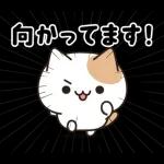 お酒好きなねこさん 7軒目！
