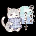 毎日使える♡大人可愛いガーリーキャット2