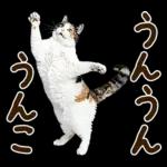 うんこ★リアルな猫