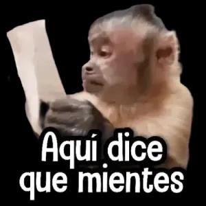 Aquí dice que mientes - getsticker.com
