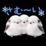 とってもかわいい♡シマエナガちゃん