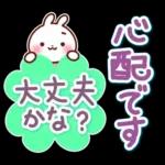 うさぎさん やさしい春の気づかい