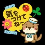 ラッコのほのぼの日常便