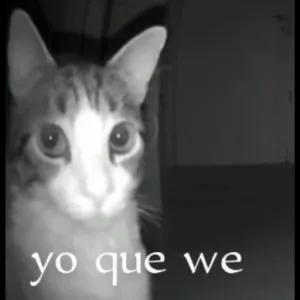 yo que we - getsticker.com